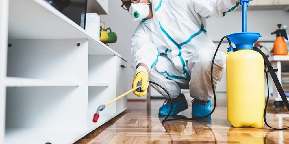 Pest Control